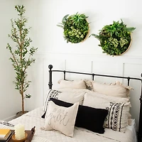 20" Framed Queensland Rainforest Artificial Living Wall Art Panel