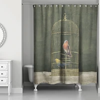 Gold Birdcage with Birds on Green 71" x 74" Shower Curtain