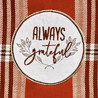 DII® Plaid Thanksgiving Cozy Picnic Dishtowel Set