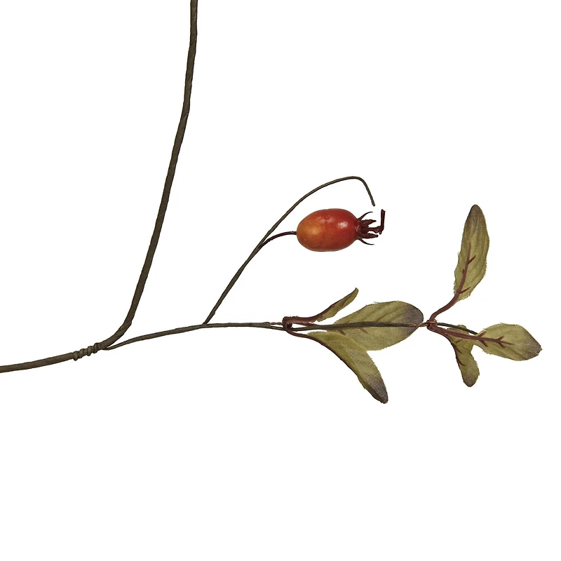 Hello Honey® 6ft. Green & Orange Faux Rose Hip Garland