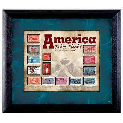 America Takes Flight Stamp Collection in Wall Frame