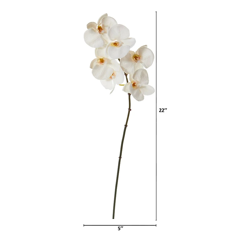 22" Phalaenopsis Orchid Artificial Flower (Set of 12)