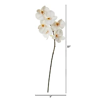 22" Phalaenopsis Orchid Artificial Flower (Set of 12)
