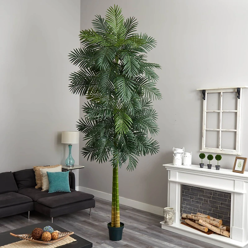 10ft. Potted Double Stalk Golden Cane Palm Tree