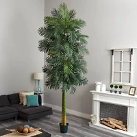 10ft. Potted Double Stalk Golden Cane Palm Tree