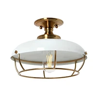 Hello Honey® 13" Wide Caged Dome Metal Semi-Flush Mount Ceiling Light
