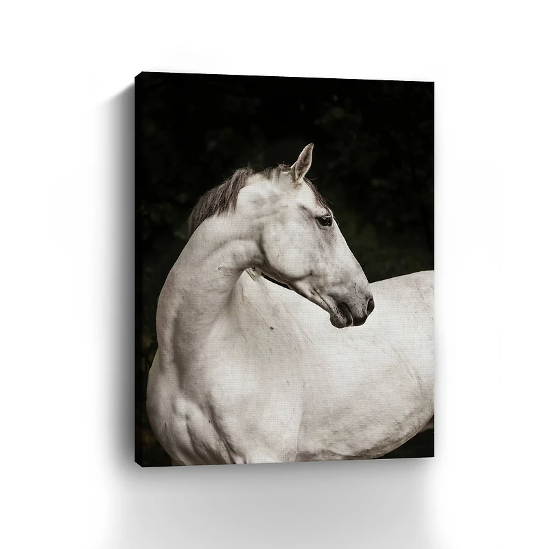 Elegant Canvas Giclee