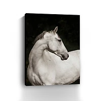 Elegant Canvas Giclee