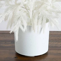 2ft. Artificial Real Touch White Norfolk Island Pine Christmas Tree with Natural Look