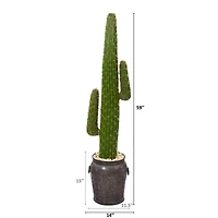 4.9ft. Cactus Artificial Plant in Black Metal Planter