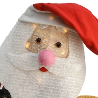 34" Santa & Reindeer Pulling Sleigh, Clear Lights