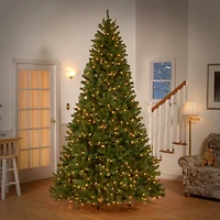 9ft. Pre-Lit PowerConnect™ North Valley Spruce Artificial Christmas Tree, Light Parade® LED Lights