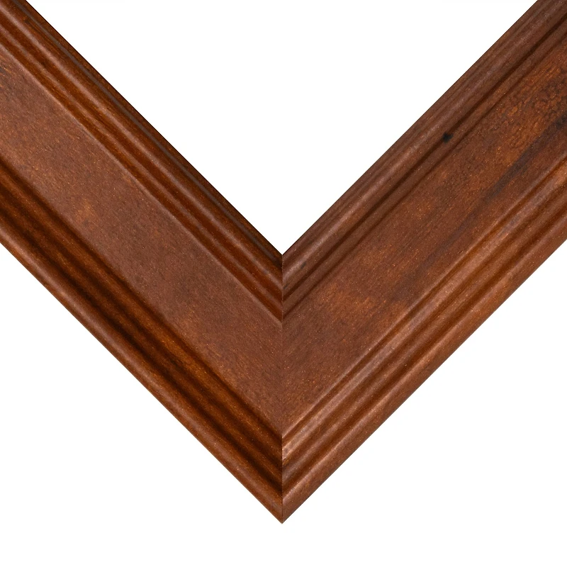 Frame USA Honey Beveled Brown Single Image Picture Frame