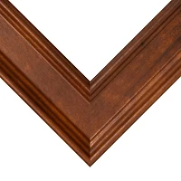 Frame USA Honey Beveled Brown Single Image Picture Frame