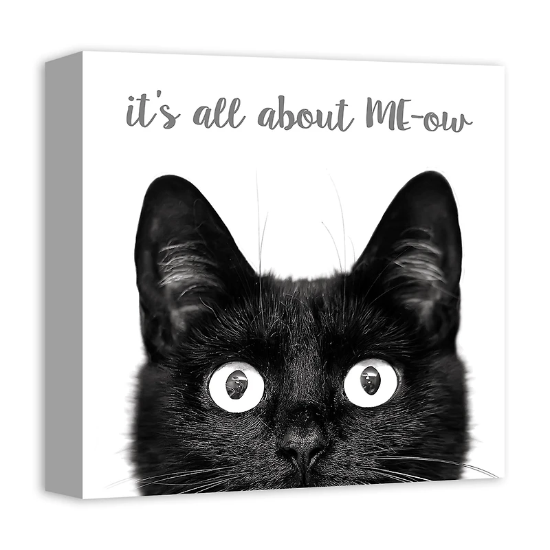 It's All about ME-ow Canvas Wall Art