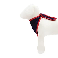 Best Furry Friends Patriotic Bandanas