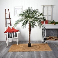 6ft. Potted Robellini Palm Tree
