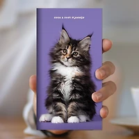2024-2025 Kitten Monthly Pocket Planner