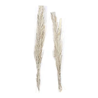 Set of 2" Brown Wood Natural Foliage, 7" x 56"