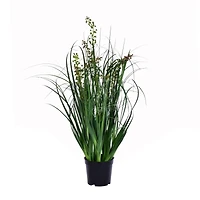 Artificial Potted Green Sheep's Grass
