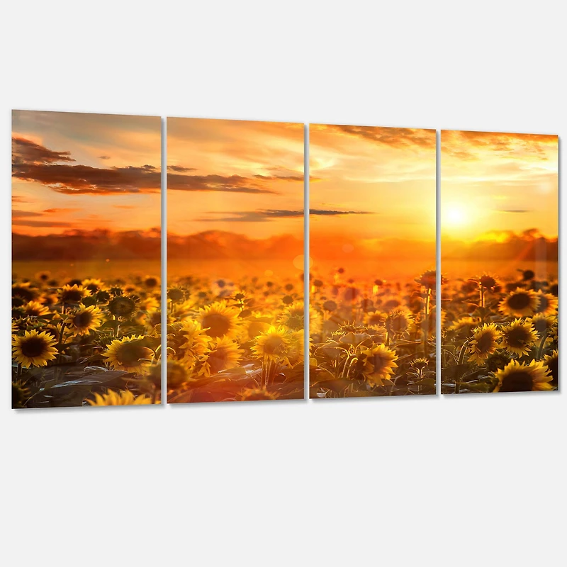 Designart - Yellow Sunset over Sunflowers