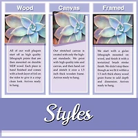 Stupell Industries Laundry Cleaning Symbols Wall Art in Frame