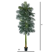 10ft. Potted Double Stalk Golden Cane Palm Tree