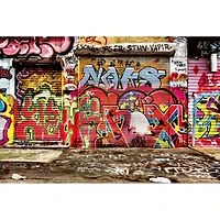 Dimex Graffiti Street Wall Mural