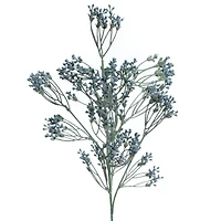 25.5" Green Sedum Stem by Ashland®