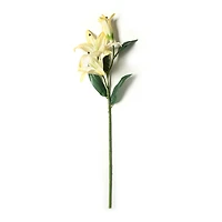 12 Pack: White Casablanca Lily Stem by Ashland®