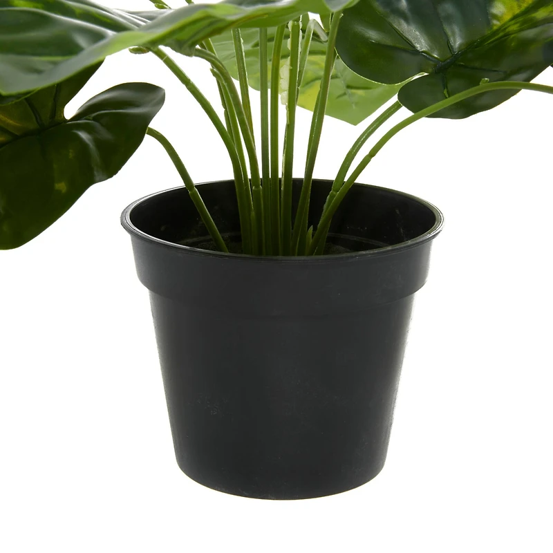 Green Plastic Traditional Artificial Foliage, 19" x 12" x 12"