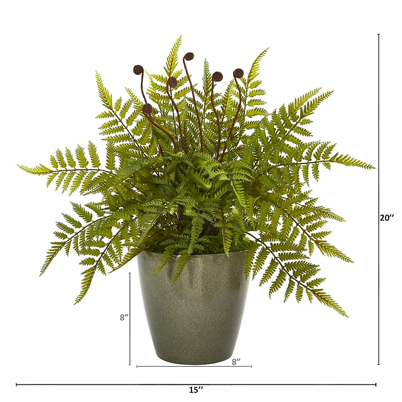 20" Fern in Olive Green Planter