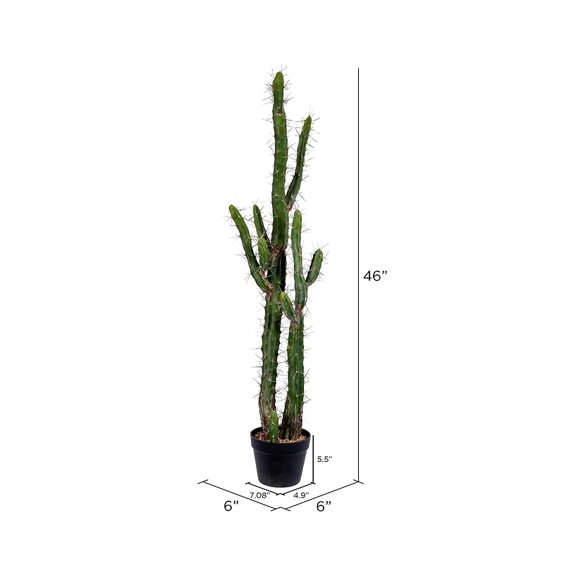 4ft. Potted Green Cactus