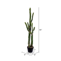 4ft. Potted Green Cactus