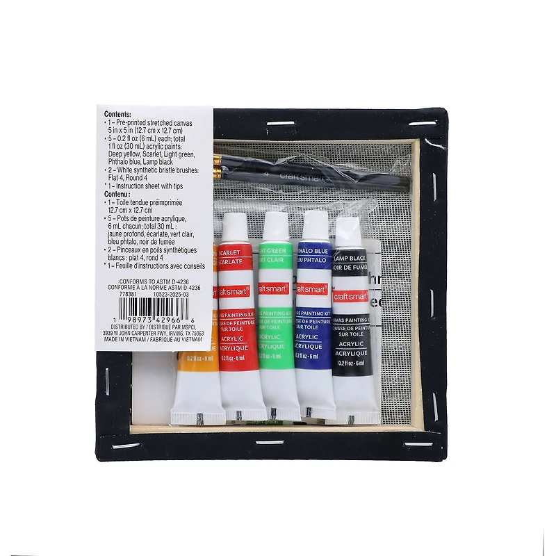 5" x 5" Roses in Web Canvas Painting Kit by Craft Smart®