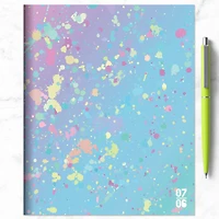 TF Publishing 2024-2025 Medium Paint Splatter Monthly Planner