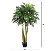 9.5ft. Potted Giant 5 Stalk Areca Palm Tree