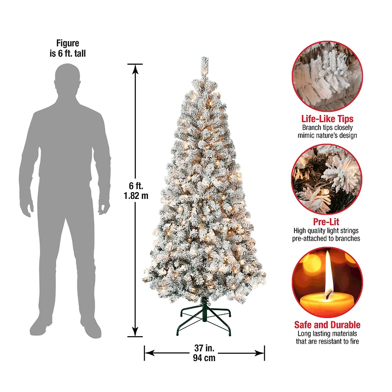 6ft. Pre-Lit Acacia Flocked Artificial Christmas Tree, Clear Lights