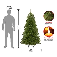 6ft. Unlit North Valley™ Spruce Medium Artificial Christmas Tree