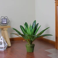 22" Potted Artificial Green & Brown Bird Nest Fern