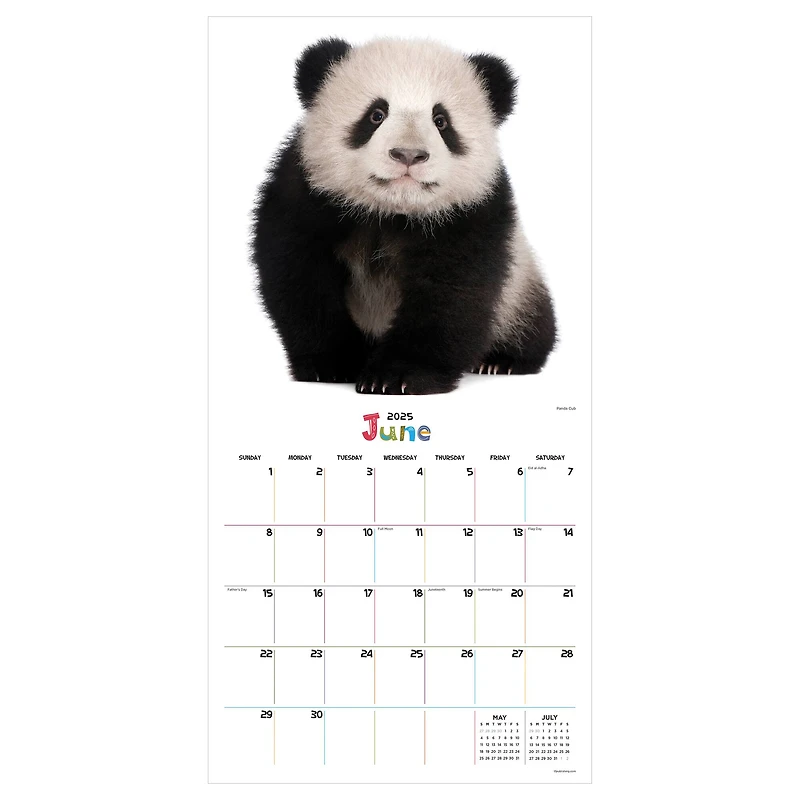 TF Publishing 2025 Baby Animals Wall Calendar