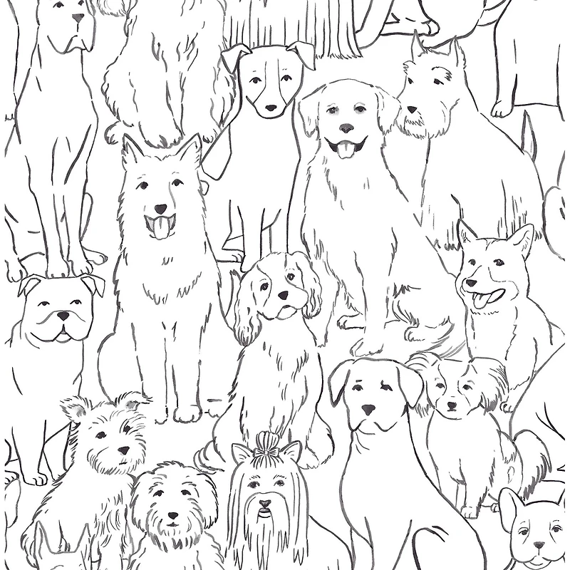 Wallpaper Black & White Paws On Peel & Stick Wallpaper