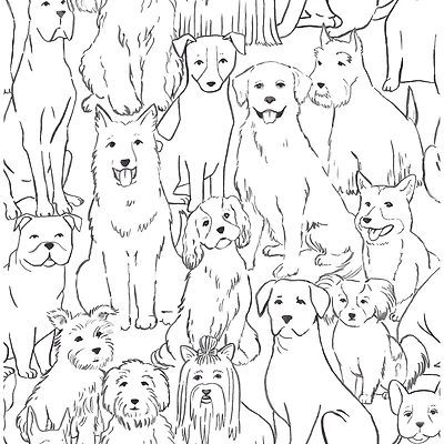 Wallpaper Black & White Paws On Peel & Stick Wallpaper