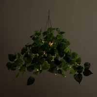 24" UV Resistant Artificial LED Lit Philodendron in White Hanging Basket