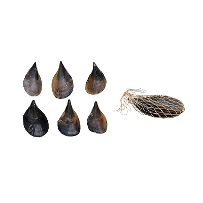 Hello Honey® Pen Clam Shells in Bag