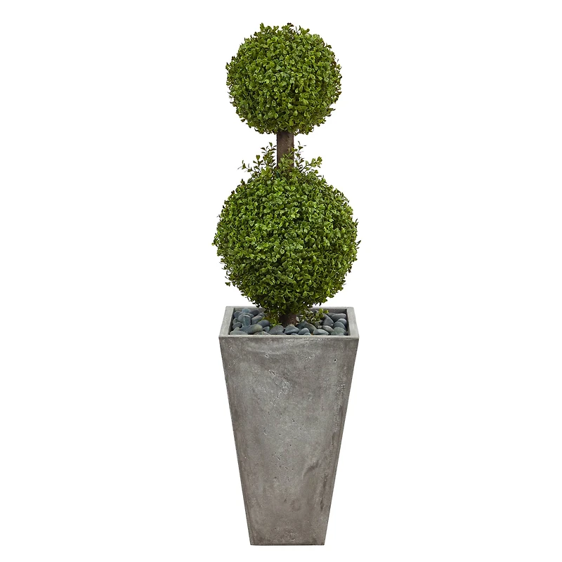 4ft. Double Boxwood Topiary Tree in Cement Planter