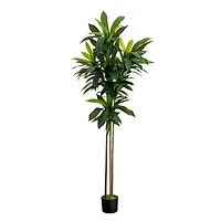 7ft. Potted Green Artificial Dracaena Tree with Real Touch Leaves