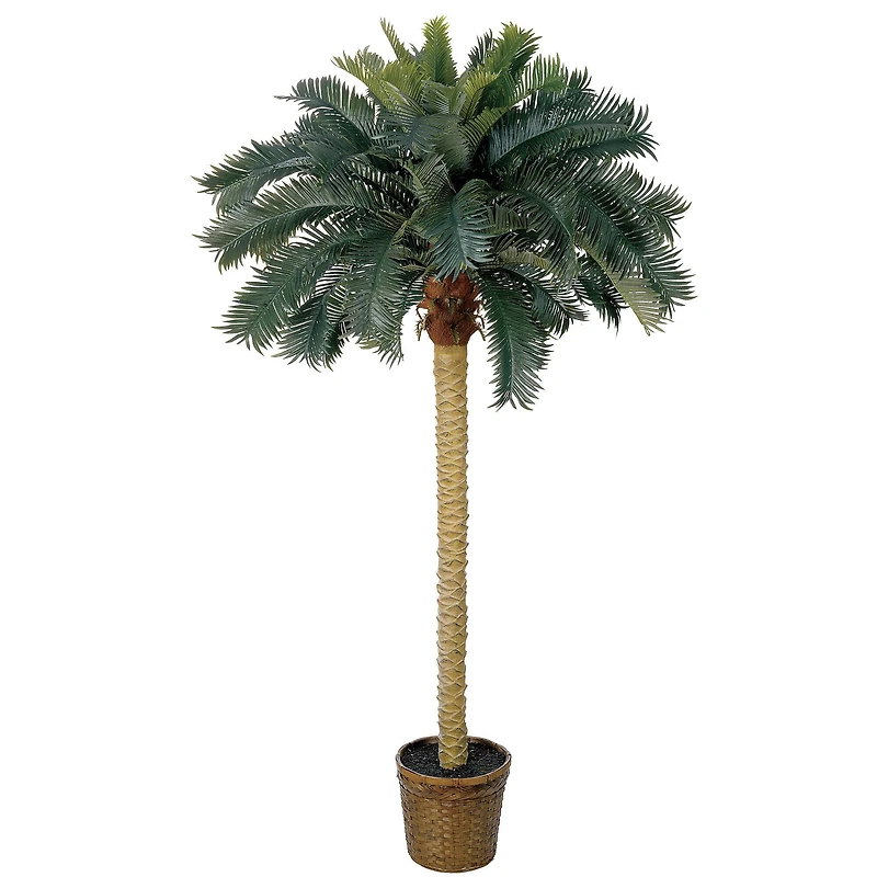 6ft. Sago Palm Tree in Wicker Basket Pot