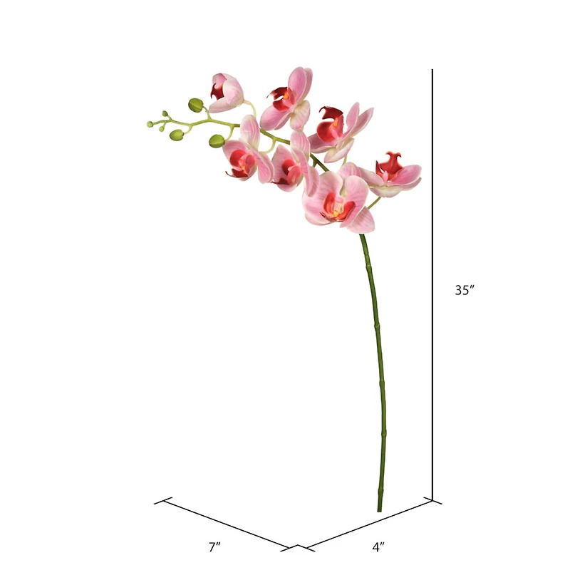 Real Touch™ Pink Moth Orchid Stem