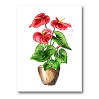 Designart - Anthurium Tailflower Or Flamingo Flower In The Pot